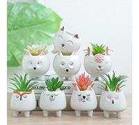 ARTKETTY 8 PCS Carini vasi per piante succulente con foro di drenaggio, piccoli vasi per piante succulente in ceramica dei cartoni animati Piccoli contenitori per piante di fiori di cactus