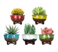 ARTKETTY Vasi in ceramica per piante grasse, piccoli vasi per cactus, 10 cm, contenitore per piante da fiore smaltato con drenaggio, decorazione per casa e giardino, confezione da 5