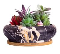 ARTKETTY Vasi per piante grasse, 18,5 cm, grande vaso bonsai con vassoio di drenaggio, vaso in marmo per cactus, vasi in ceramica per interni ed esterni, fioriera poco profonda, contenitore per la