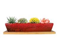 ARTKETTY Vasi per piante grasse in ceramica, contenitori per piante da fiori rettangolari lunghi con vassoi, fioriera per bonsai di cactus poco profonda con drenaggio