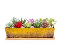 ARTKETTY Vasi per piante grasse, lunghi 30 cm, rettangolari, con vassoio di drenaggio, grandi piante da fiori di cactus in ceramica, per interni ed esterni, bonsai poco profondo, decorazione per la
