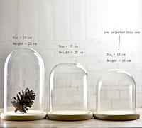 Artlass, campana in vetro dal diametro di 15 cm con vassoio in legno, Vetro, Clear, small