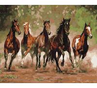 Artnapi Dipingere con i numeri, adulti con cornice, dipinta a mano, animali, cavalli da corsa, kit per principianti e adulti, set con colori acrilici e pennelli, tela da 40 x 50 cm, ideale come regalo