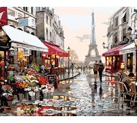 Artnapi Dipingere con i numeri, adulti senza cornice, dipinta a mano, coppia di sposi a Parigi, kit per principianti e adulti, set con colori acrilici e pennelli, tela da 40 x 50 cm