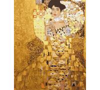 Artnapi Dipingere con i numeri, kit per adulti per bambini con cornice 40 x 50 cm (dele Bloch-Bauer Gustav Klim) - Dipinto ad olio su tela
