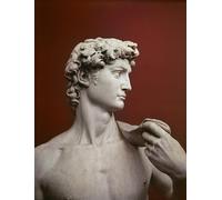 ARToPHIIU Immagini Moderni Murale Artistico Poster Stampe Quadri David di Buonarroti per Decorazioni per la Casa 60x90cm
