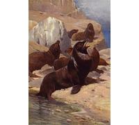 ARToPHIIU Quadri Stampe Pittura su Tela Arte Stampa su Tela Dipinto Leone marino californiano di After Wilhelm Kuhnert per L'arredamento Della Camera da Letto 60x90cm