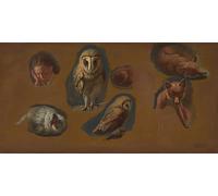 ARToPHIIU Quadri Stampe Pittura su Tela Arte Stampa su Tela Dipinto Studi di un animale un barbagianni un pAvosne di Jacques Laurent Agasse per L'arredamento Della Camera da Letto 60x90cm