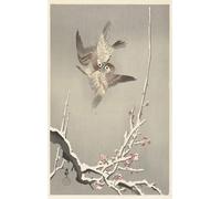ARToPHIIU Stampe Quadri Poster su Tela Pittura Dipinto su Tela Classico Cinciallegra su ramo di Paulownia di Ohara Koson per la Decorazione Della Parete 60x90cm