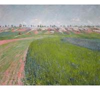 ARToPHIIU Stampe Quadri Poster su Tela Pittura Dipinto su Tela Classico Forme Uniche Della Continuità Nello Spazio di Umberto Boccioni per la Decorazione Della Parete 60x90cm