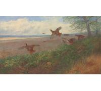 ARToPHIIU Stampe Quadri Poster su Tela Pittura Dipinto su Tela Classico Pernici in volo di Archibald Thorburn per la Decorazione Della Parete 60x90cm