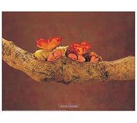 Artopweb Geddes-Untitled Pannello Decorativo, Legno MDF, Multicolore, 40x30 Cm