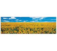 Artopweb TW14545 ANTHEA IMAGES A Sunflower Field in Provence Decorative Panel, Wood MDF, Multicolour, 100x29 Cm