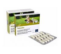 ARTOSALUS ORME NAT 60CPR