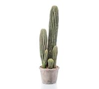 artplants.de Cactus Finto San Pedro DACON in Vaso Decorativo, Verde, 55cm - Cactus Artificiale - Pianta succulenta