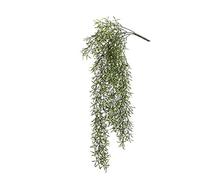 artplants.de Cactus rhipsalis pilocarpa Finto Pendente Puebla su Stelo, Verde, 75cm - Cactus Artificiale - Succulenta Finta