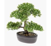 artplants.de Ficus Bonsai Artificiale Hesper in Ciotola, 30cm