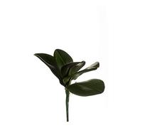artplants.de Foglie d'orchidea phalaenopsis Finta NIUT, su Stelo, Verde, 25cm - Orchidea Artificiale - Foglia Artificiale