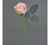 artplants.de Mini Rosa Decorativa Elli, Rosa, 30cm, Ø 6cm