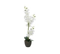 artplants.de Orchidea Phalaenopsis Artificiale Katalin, Vaso Decorativo, Bianco, 80cm - Orchidea Finta