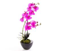 artplants.de Orchidea phalaenopsis Artificiale Melina in Ciotola, 2 Rami, Fucsia, 45cm - Orchidea Artificiale in Vaso/Orchidea Artificiale
