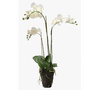 artplants.de Orchidea phalaenopsis Artificiale Pabla, Bianco-Giallo, 70cm | con terriccio - Orchidea Ornamentale/Fiore Artificiale