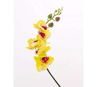 artplants.de Rametto d'orchidea phalaenopsis Artificiale, Naturale al Tatto, Giallo-Fucsia, 90cm - Orchidea Finta/Fiore Artificiale