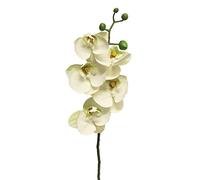 artplants.de Ramo Artificiale di Orchidea Phalaenopsis SONGYA, Bianco, 55 cm - Fiore a Stelo Decorativo
