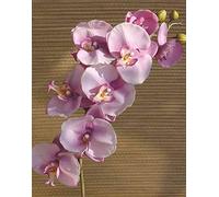 artplants.de Ramo Decorativo di Orchidea phalaenopsis Ricky, Rosa, 105cm - Orchidea di plastica - Ramo Fiorito