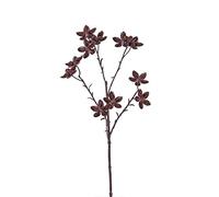 artplants.de Ramo di Anice Stellato Finto Delano con Frutti, Marrone, 60cm - Anice Artificiale - Ramo Artificiale