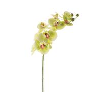 artplants.de Ramo di phalaenopsis Artificiale Ophelia, Naturale al Tatto, 9 Fiori, Verde-Rosa, 100cm - Phalaenopsis Finta/Orchidea Farfalla