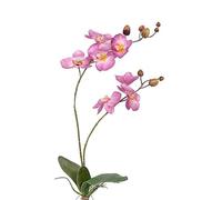 artplants.de Ramo di phalaenopsis Finto NAARA con Foglie, Rosa, 75cm - Orchidea Decorativa/Ramo Artificiale