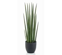artplants.de Sansevieria Cylindrica Artificiale KICHIRO, Verde, 70 cm | in Vaso Decorativo - Succulenta di plastica