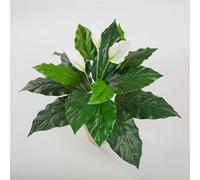 artplants.de Spathiphyllum Artificiale, Bianco, 3 Fiori, 17 Foglie, con Gambo Artificiale, Deluxe, 70cm - Spatifillo Decorativo/Pianta da Interni