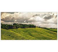 ArtPlaza Art Studio Tuscany Pannello Decorativo, Legno, Multicolore, 140x70 cm