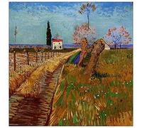 ArtPlaza TW90778 Van Gogh Vincent Path Through a Field with Willows Decorative Panel, Wood MDF, Multicolour, 70x70 Cm