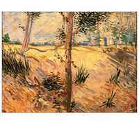 ArtPlaza TW90952 Van Gogh Vincent Trees in a Field on a Sunny Day Decorative Panel, Wood MDF, Multicolour, 80x60 Cm