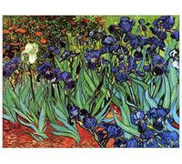 ArtPlaza Van Gogh Vincent-Irises Pannello Decorativo, Legno MDF, Multicolore, 120 x 90 cm