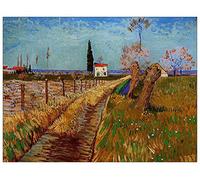 ArtPlaza Van Gogh Vincent-Path Through a Field with Willows Pannello Decorativo, Legno MDF, Multicolore, 80 x 60 cm
