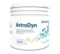 ARTRODYN 60 PORZIONI 275 G