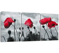 Artscope Stampe e Quadri su Tela 3 pz. Fiori Rossi Immagine Fotografia Murale Tela Wall Art Bel Regalo per Home Decor Ristorante Cucina Regalo di Anniversario Compleanno 30x40CM