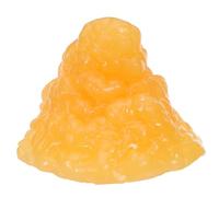 ARTSEWPLY Modello di Grasso Anatomico Umano da 1 Libbra in Tpe Strumento Dimostrativo per Nutrizionista e Fitness Riproduzione Realistica del Tessuto Adiposo per Educazione Medica e