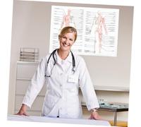 ARTSEWPLY Poster Anatomia Umana in Seta Fili Illustrazione Scheletrica e Muscolare Informativa Stampa Chiara e Durevole per Scuole Laboratori e Aule