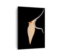ARTTOR Moderno Quadro su Tela 50x70 cm Verticale Persone Moda - 4341 | Donna Cappello Nero Quadro Decorativo Piccolo Soggiorno Camera da Letto Decorazione da Parete Arte da Parete ARTTOR