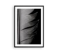 ARTTOR Poster da Parete Cornice Nera 50x70 cm 3D Bianco e Nero - 5875 - P2B | Penna Minimalismo Leggerezza Stampa da Parete Quadro Decorativo Decorazione da Parete Arte Poster Moderno Soggiorno ARTTOR