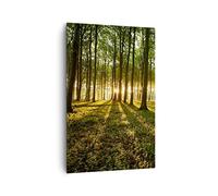 ARTTOR Quadri Moderni su Tela 80x120 cm Verticale Botanica Paesaggi - 2510 | Foresta Verde Sole Quadro Decorativo Grande Soggiorno Camera da Letto Decorazione da Parete Arte da Parete ARTTOR