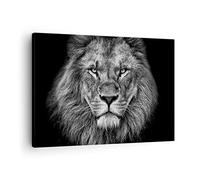 ARTTOR Quadro su Tela 70x50 cm Stampe da Parete Africa Bianco e Nero - 4494 | Ritratto Leone E Quadro Decorativo Piccolo 1 pezzo Soggiorno Camera da Letto Arte da Parete Decorazione da Parete ARTTOR