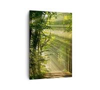 ARTTOR Stampe da Parete Moderne Verticali 70x100 cm Paesaggi Foresta - 3661