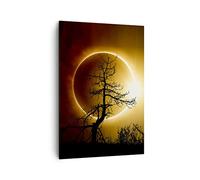 ARTTOR Stampe da Parete Moderne Verticali 70x100 cm Spazio Paesaggi - 4349 | Eclissi Sole Albero Quadro Decorativo Grande Soggiorno Camera da Letto Decorazione da Parete Arte da Parete ARTTOR