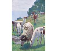 ARTXLXXBN Dipinti Famosi Arte Murale Su Tela Poster Con Stampa Llama de la vida salvaje del mundo de Wilhelm Kuhnert per la Decorazione Domestica dell'ufficio 60x90cm
